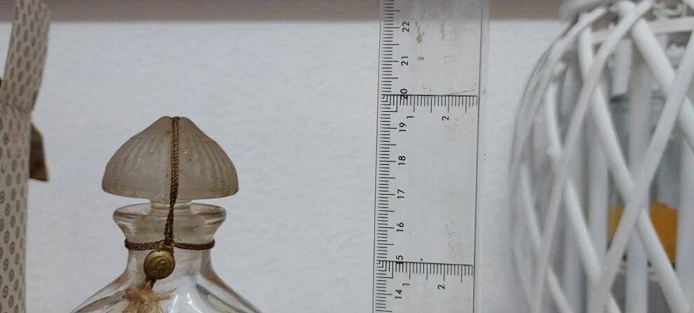 Chant d'Aromes Guerlain SIZE: 19-20cm x 11cm. Extremely rare.